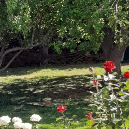 Secret Garden Вилла Пафос